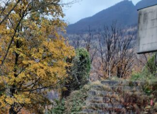 Risultati: Cross Monteceneri